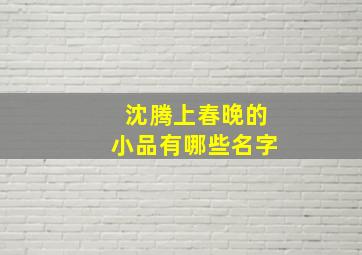 沈腾上春晚的小品有哪些名字