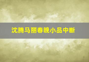 沈腾马丽春晚小品中断