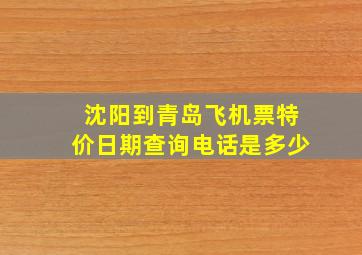 沈阳到青岛飞机票特价日期查询电话是多少