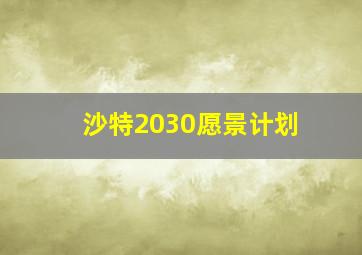 沙特2030愿景计划