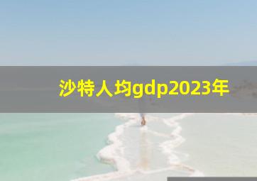 沙特人均gdp2023年