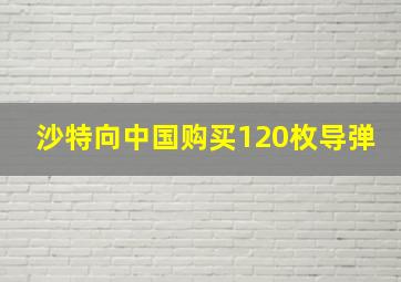 沙特向中国购买120枚导弹