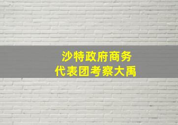 沙特政府商务代表团考察大禹