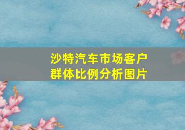 沙特汽车市场客户群体比例分析图片