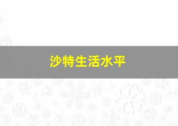 沙特生活水平