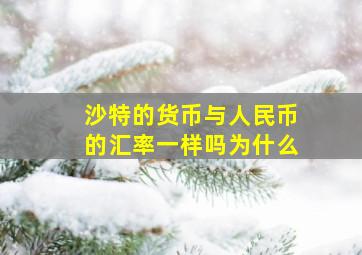 沙特的货币与人民币的汇率一样吗为什么