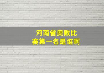 河南省奥数比赛第一名是谁啊