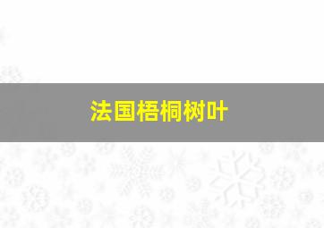 法国梧桐树叶