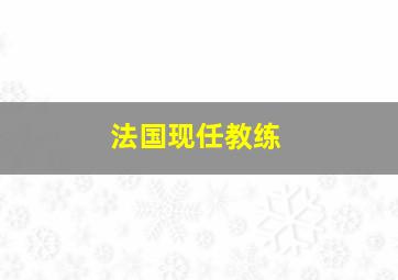 法国现任教练