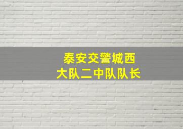 泰安交警城西大队二中队队长