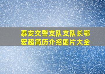 泰安交警支队支队长鄂宏超简历介绍图片大全