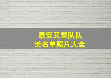 泰安交警队队长名单照片大全