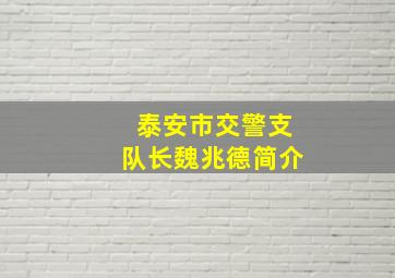 泰安市交警支队长魏兆德简介