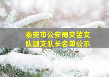 泰安市公安局交警支队副支队长名单公示