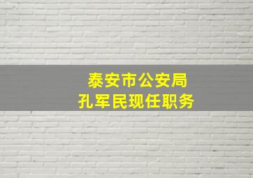 泰安市公安局孔军民现任职务