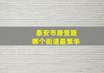 泰安市唐訾路哪个街道最繁华