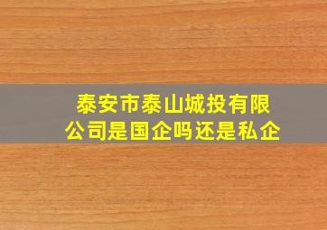 泰安市泰山城投有限公司是国企吗还是私企