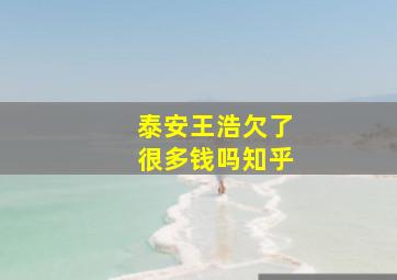 泰安王浩欠了很多钱吗知乎