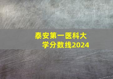 泰安第一医科大学分数线2024