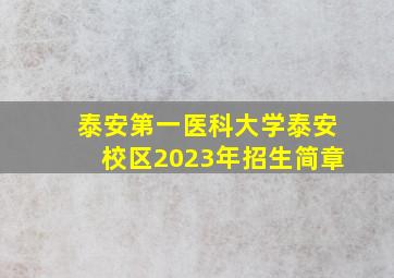 泰安第一医科大学泰安校区2023年招生简章