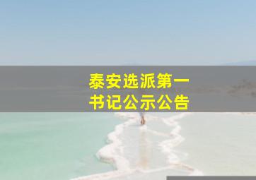 泰安选派第一书记公示公告