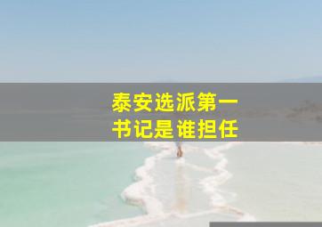 泰安选派第一书记是谁担任