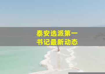 泰安选派第一书记最新动态