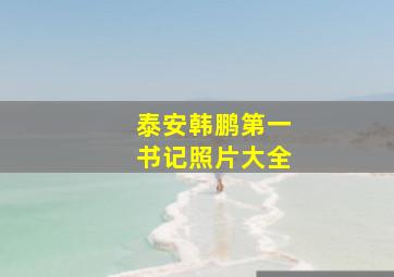 泰安韩鹏第一书记照片大全