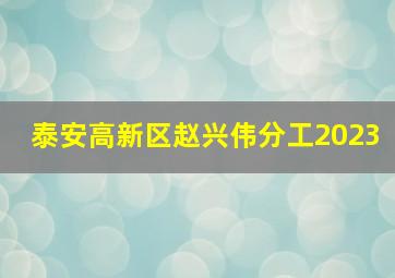 泰安高新区赵兴伟分工2023