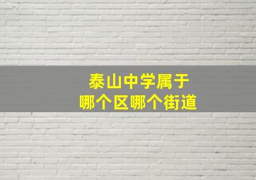 泰山中学属于哪个区哪个街道