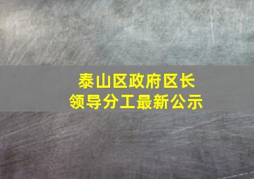 泰山区政府区长领导分工最新公示