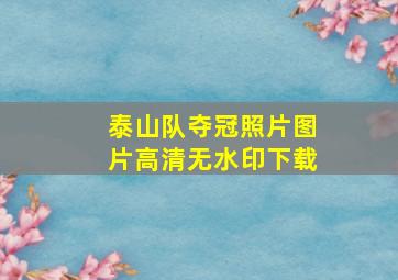 泰山队夺冠照片图片高清无水印下载