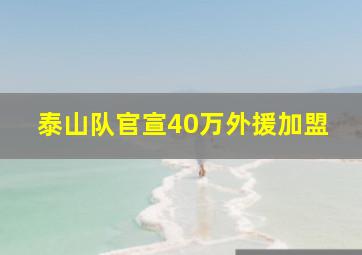 泰山队官宣40万外援加盟