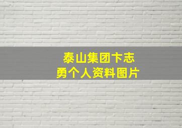 泰山集团卞志勇个人资料图片