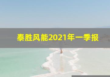 泰胜风能2021年一季报