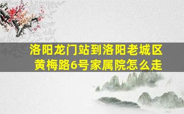 洛阳龙门站到洛阳老城区黄梅路6号家属院怎么走