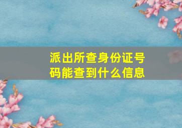 派出所查身份证号码能查到什么信息