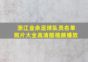 浙江业余足球队员名单照片大全高清图视频播放