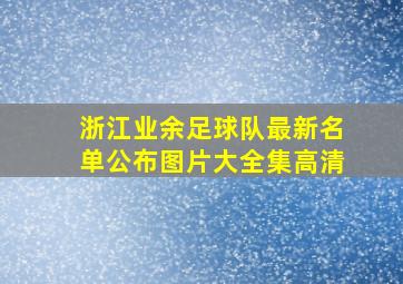 浙江业余足球队最新名单公布图片大全集高清