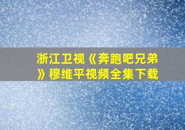 浙江卫视《奔跑吧兄弟》穆维平视频全集下载