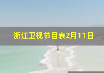 浙江卫视节目表2月11日