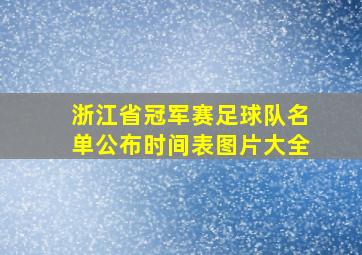 浙江省冠军赛足球队名单公布时间表图片大全