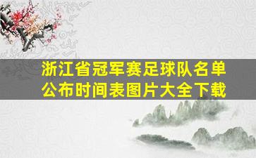 浙江省冠军赛足球队名单公布时间表图片大全下载