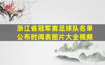 浙江省冠军赛足球队名单公布时间表图片大全视频