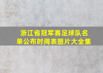 浙江省冠军赛足球队名单公布时间表图片大全集