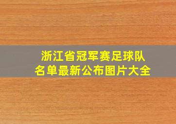 浙江省冠军赛足球队名单最新公布图片大全