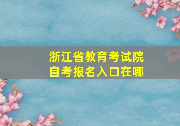 浙江省教育考试院自考报名入口在哪