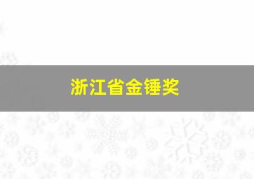 浙江省金锤奖