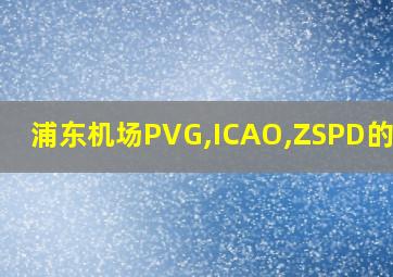 浦东机场PVG,ICAO,ZSPD的意思