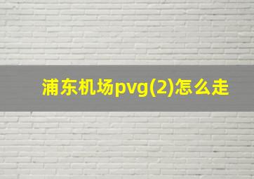 浦东机场pvg(2)怎么走